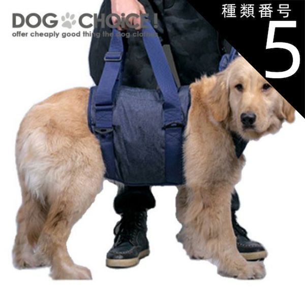 種類5