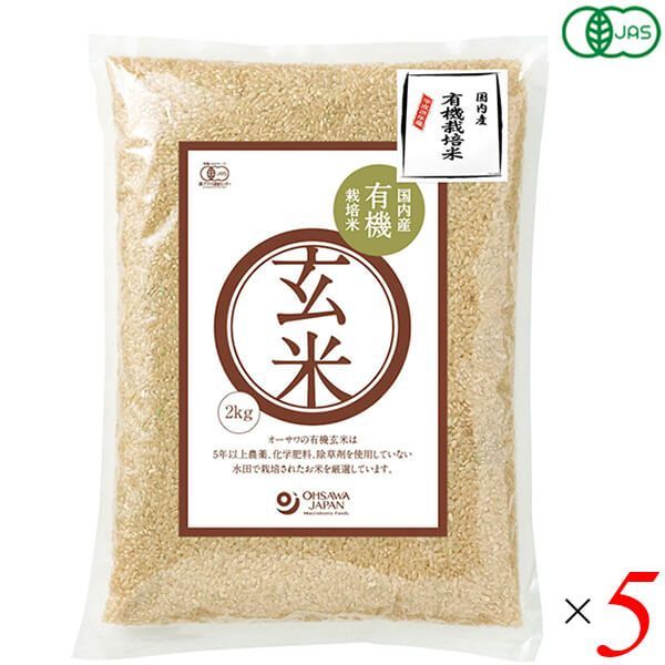 超メルカリ市限定値下げ 青白天門 CS入賞構築 アドバンス対応可 三重