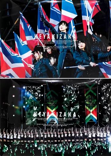 中古】ポスター(女性) B2クリアポスター(2枚組) 欅坂46 「DVD/Blu-ray