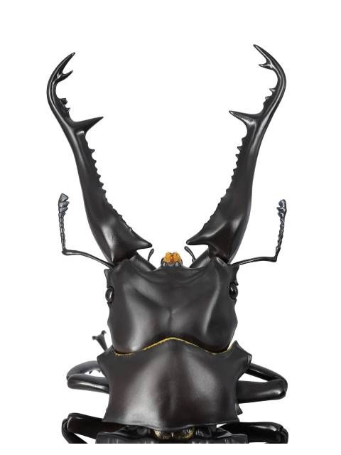リボジオ　ギラファクワガタ 長大な大顎のクワガタ最大種！ 「リボジオ ギラファ