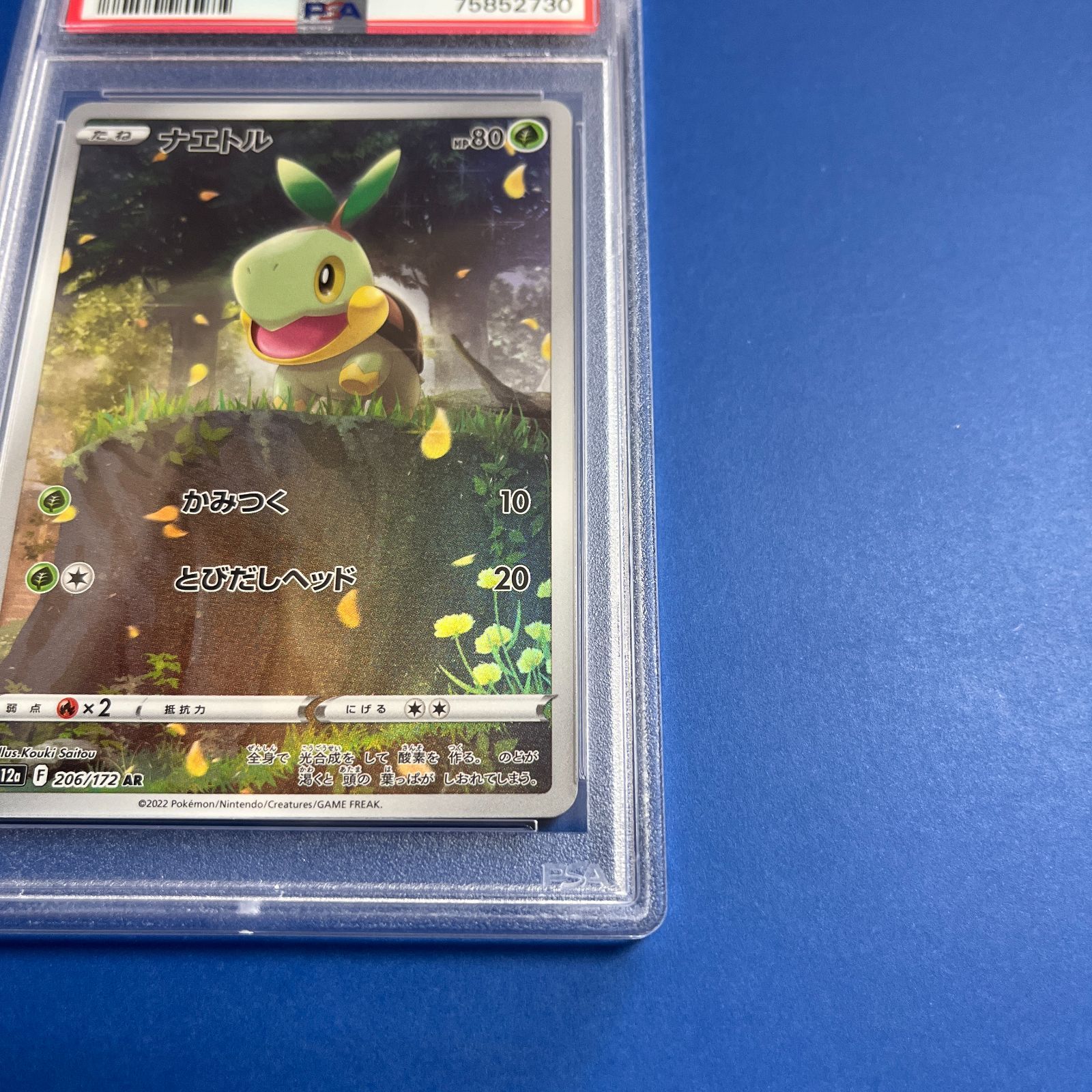 PSA10 ナエトルAR s12a-206/172 ワンオーナー品 ポケモンカード鑑定品