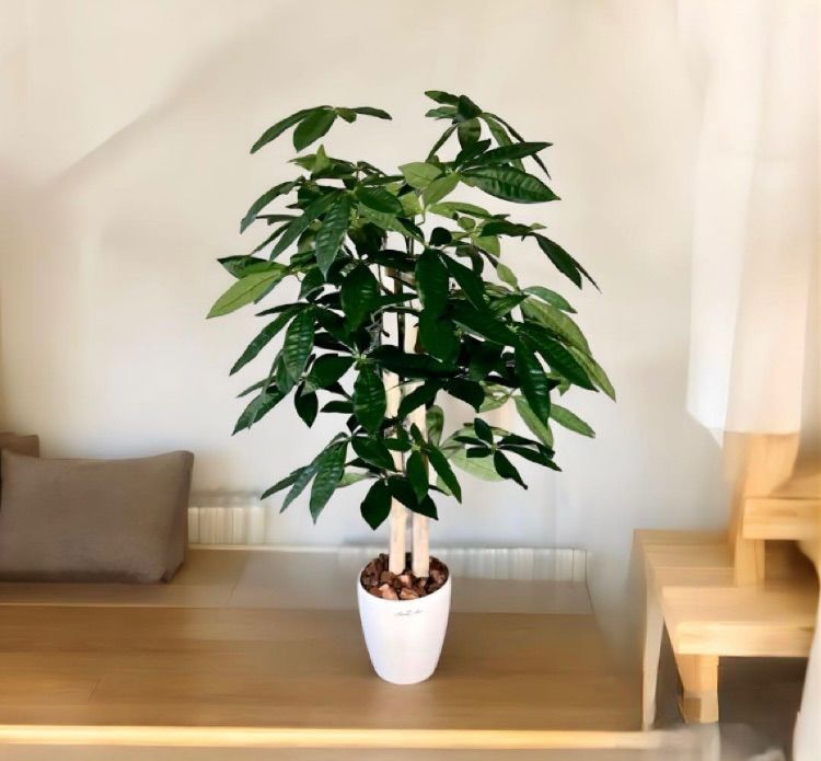 光触媒 人工観葉植物 ウォールグリーン フェイクグリーン パキラ 光触媒 人工観葉植物 ウォールグリーン フェイクグリーン パキラ