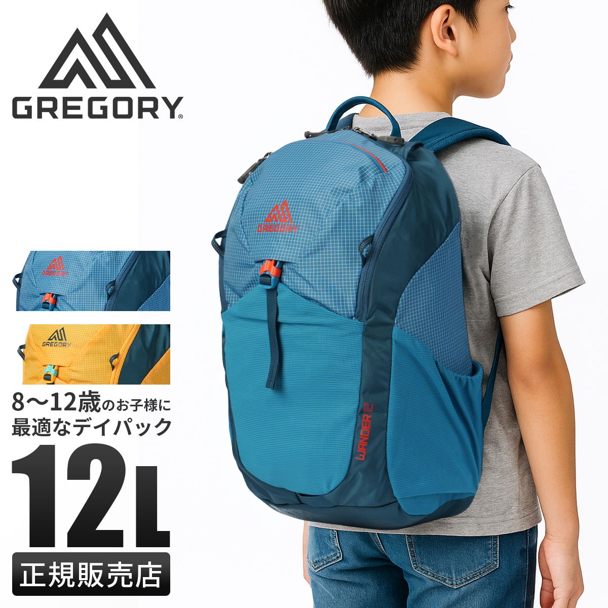 グレゴリー ユースハイキング リュック ミニリュック キッズ 子供 男の子 女の子 小学生低学年 12L GREGORY YOUTH HIKING wander12