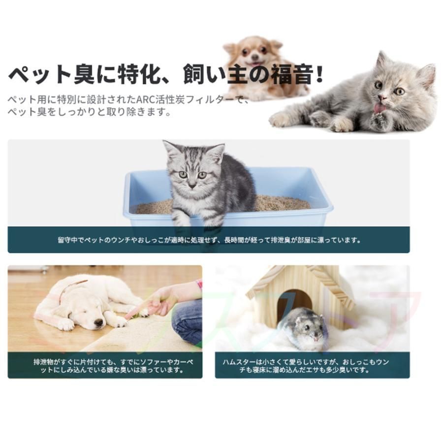 カビ取り kkkbpz