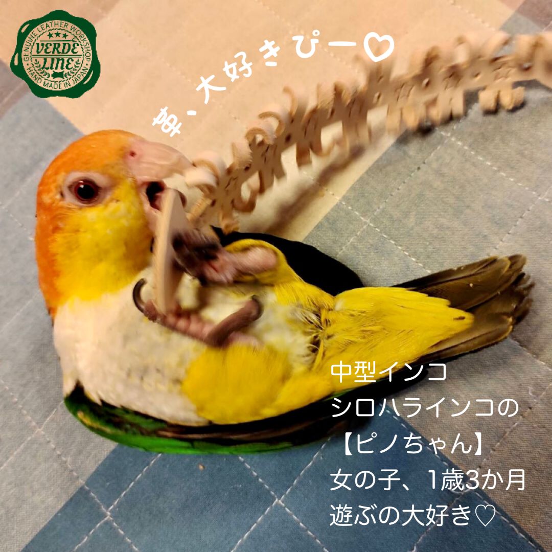 インコちゃんのカミカミおもちゃ☆ - おもちゃ