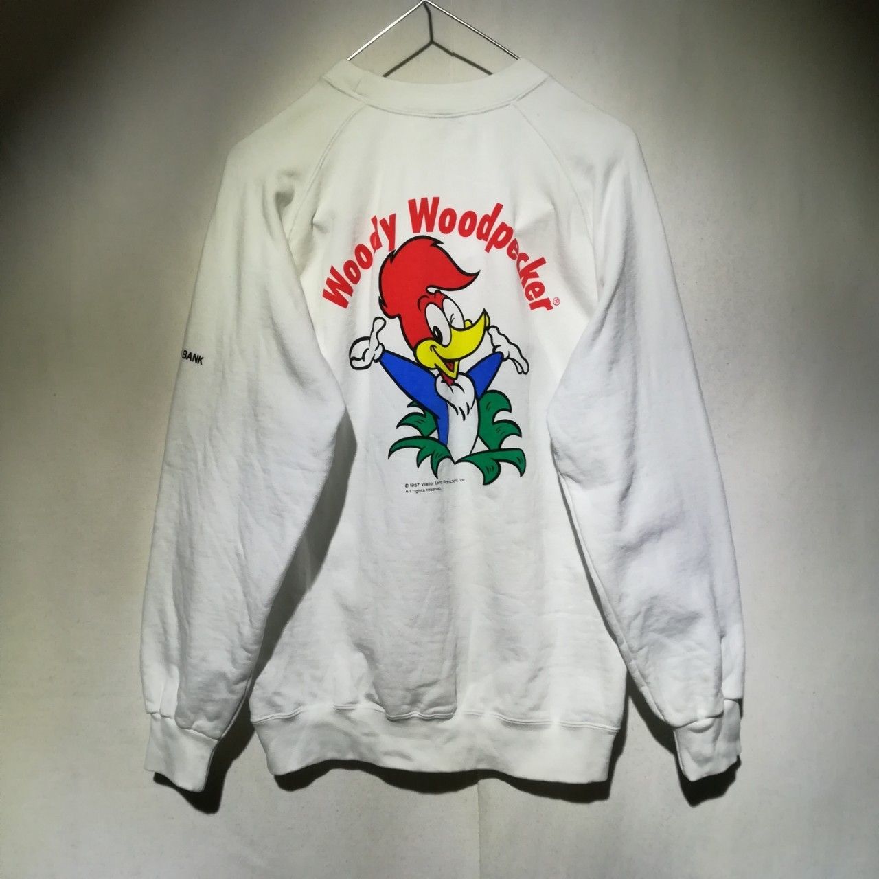 9/1値段見直し】【WN230620-009】DAIKYO Woody Woodpecker ウッディー