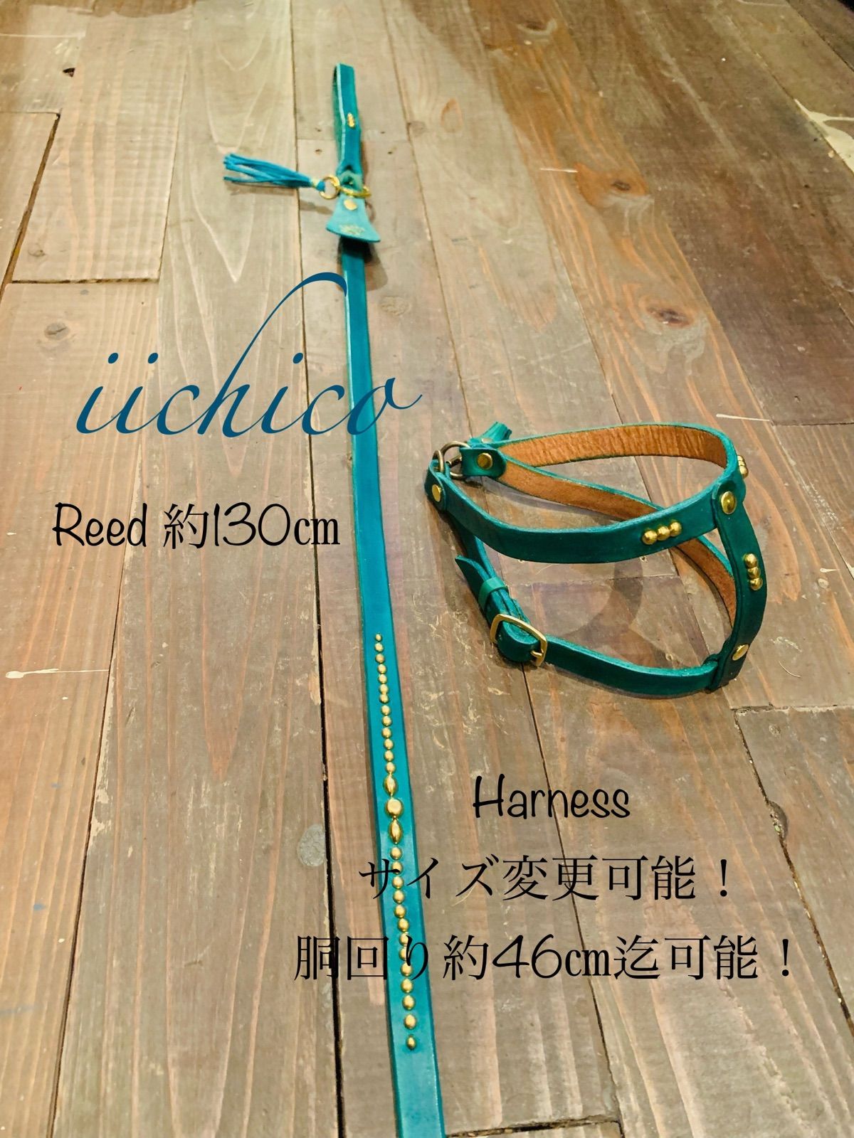 犬用【本革】手染めstuds リード＆ハーネス2点SET！orange 犬用【本革】手染めstudsリード＆ハーネス2点SET！turquoise 【公式通販】