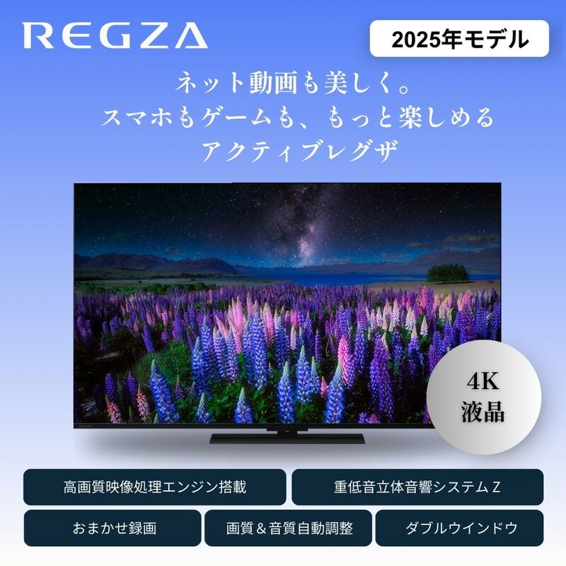 TVS REGZA