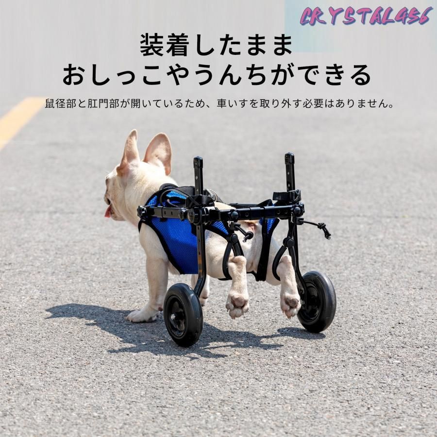 後足