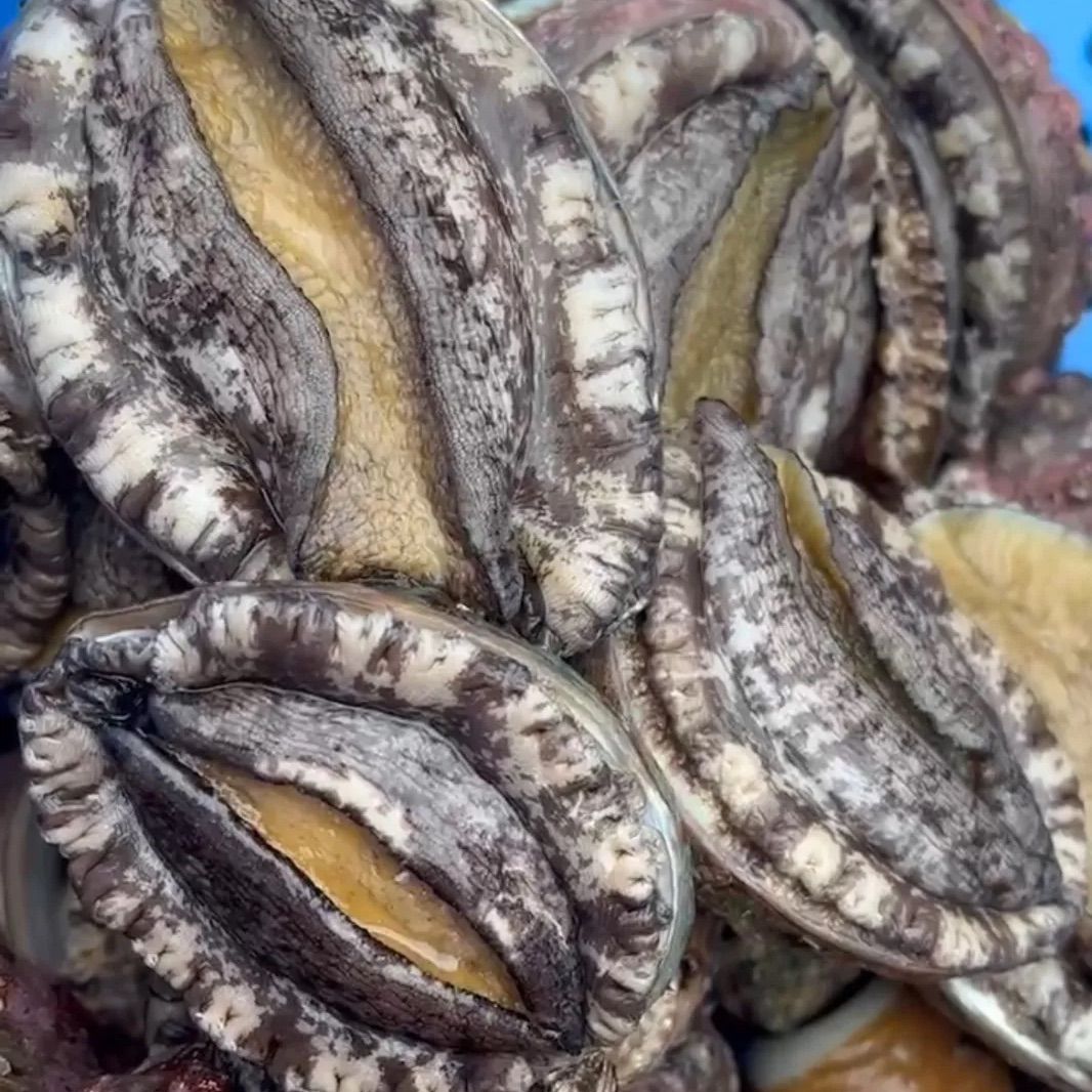 M1770☆アメジストドーム9.6Kg☆ウルグアイ産☆天然石☆N50802 M1770☆アメジストドーム9.6Kg☆ウルグアイ産☆天然石☆N50802