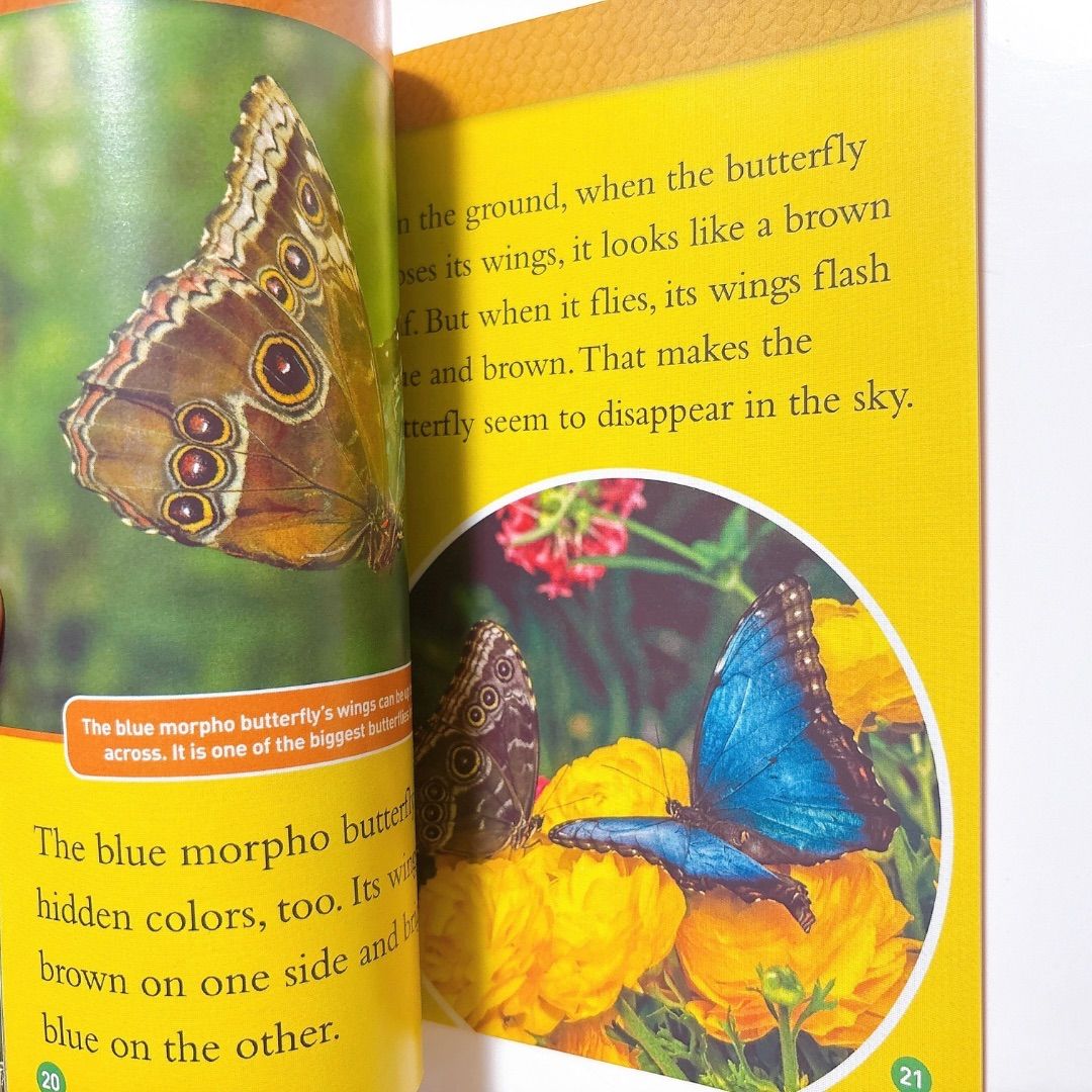 National Geographic Kids Level2 41冊 英語絵本 音源付き ナショジオ