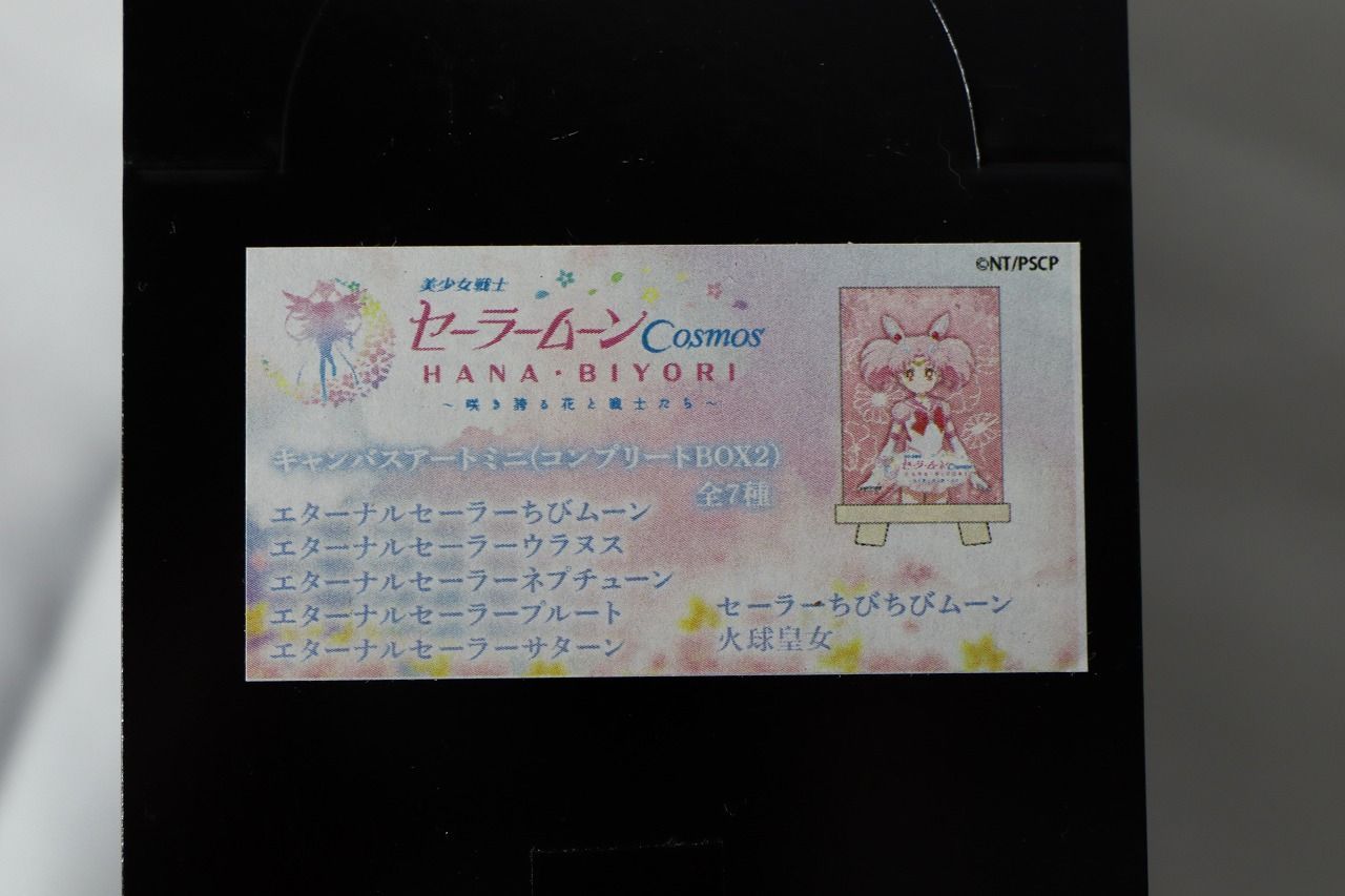 セーラームーン - セーラームーン　ハナビヨリ　キャンバスアート　Cosmos 劇場版「美少女戦士セーラームーンCosmos」×HANA・BIYORI