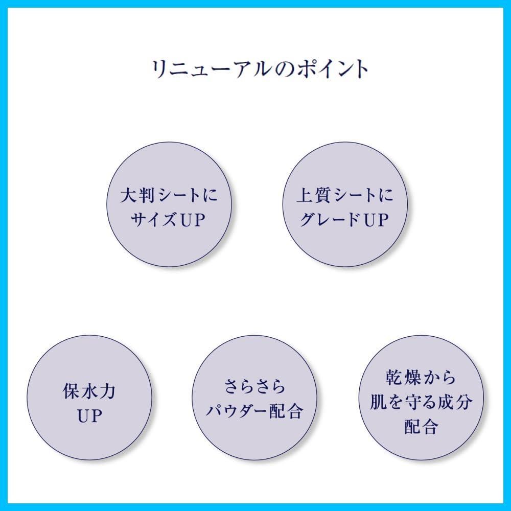 【超特価sale開催！】 プラウドメン グルーミングシート グルーミング シトラスの香り 16枚入り×3個セット