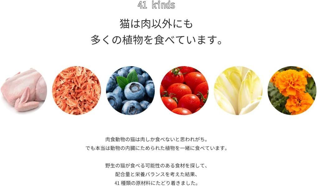 公式アウトレット