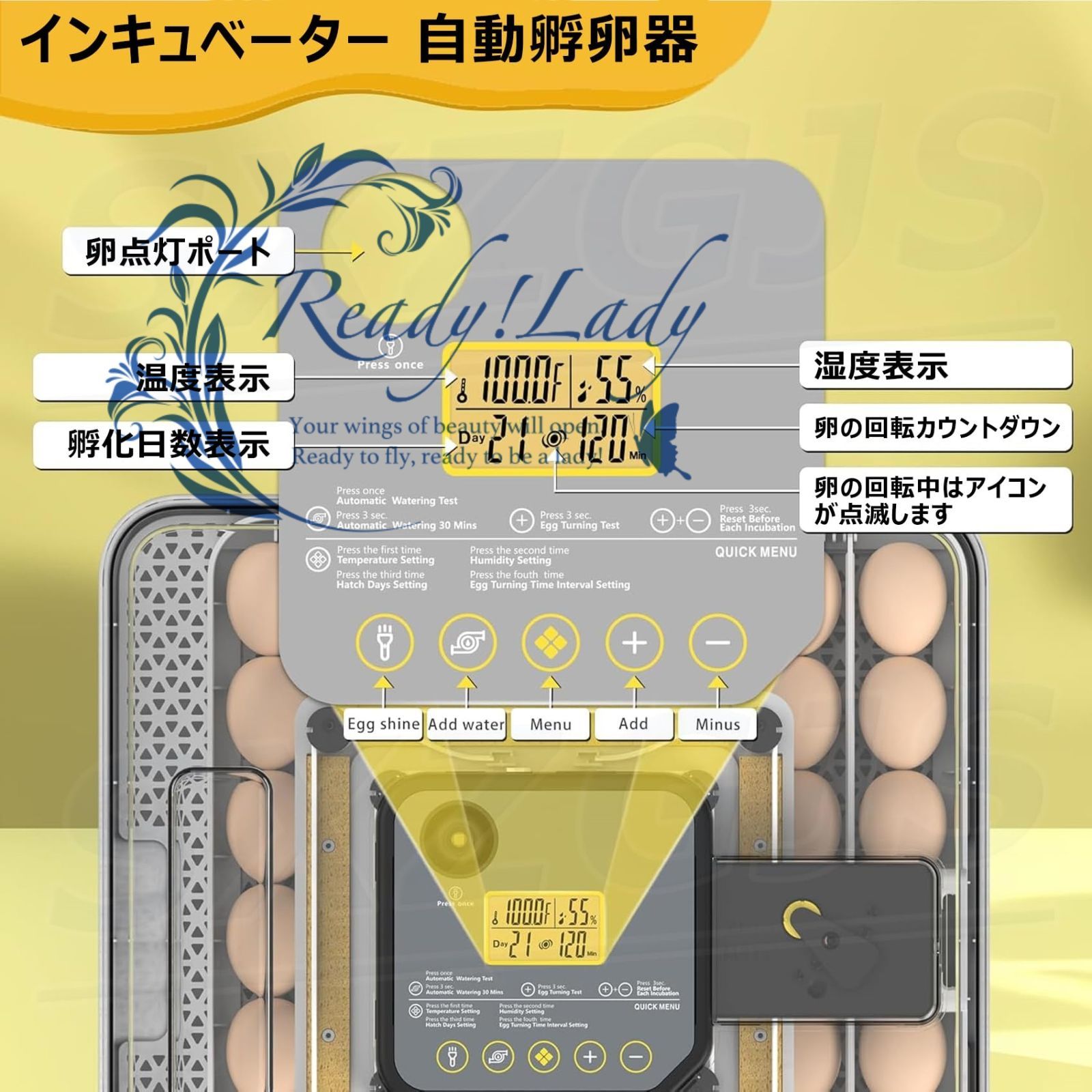 両生類 科学実験室用