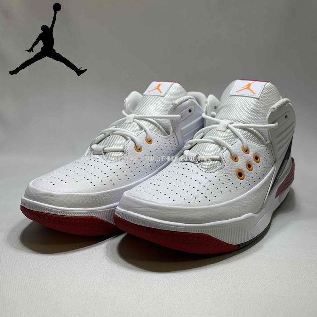 新品！ NIKE JORDAN MAX AURA 5 DZ4353-160 ナイキ ジョーダン  