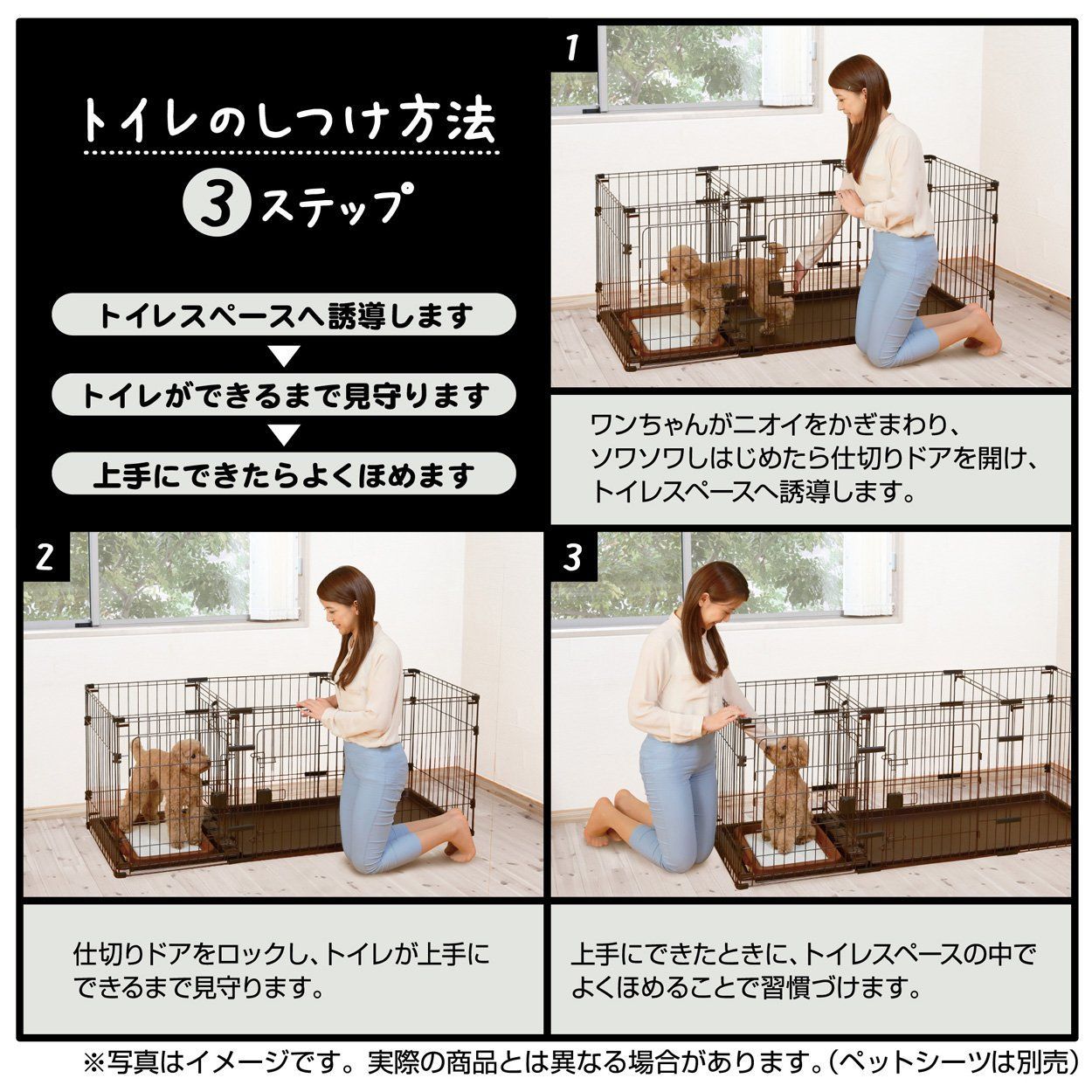 数量