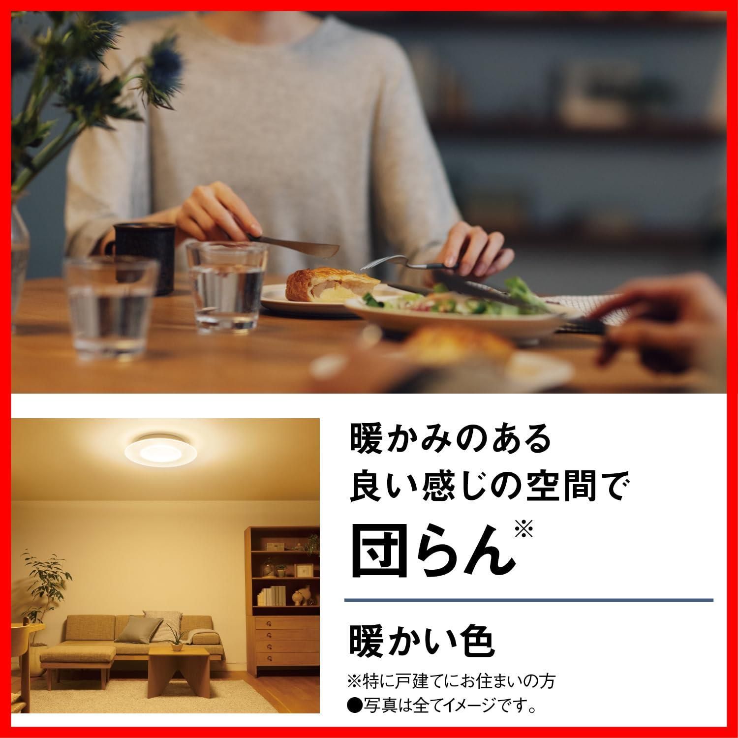 本体