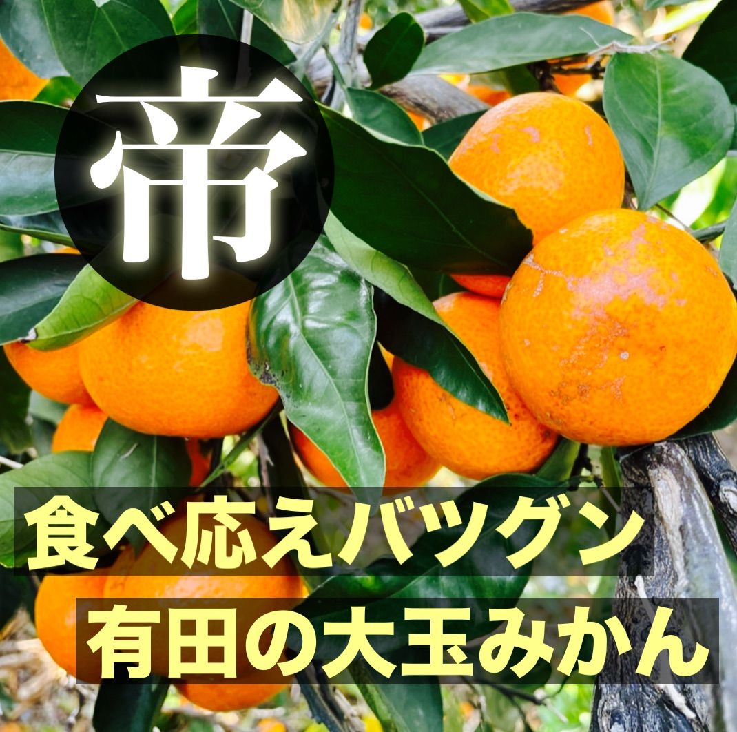 のサムネイル