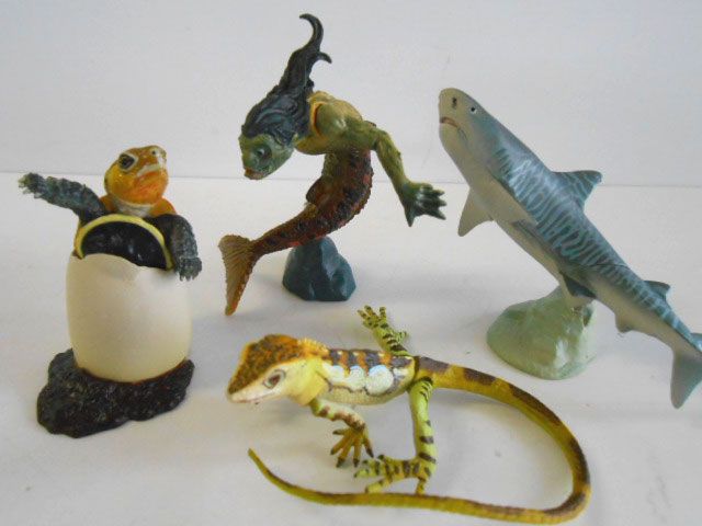 ♯Kwi18FeカプセルQ日本の動物7八重山諸島ヤマネコの島S入全8種 ♯Kwi18FeカプセルQ日本の動物7八重山諸島ヤマネコの島S入全8種