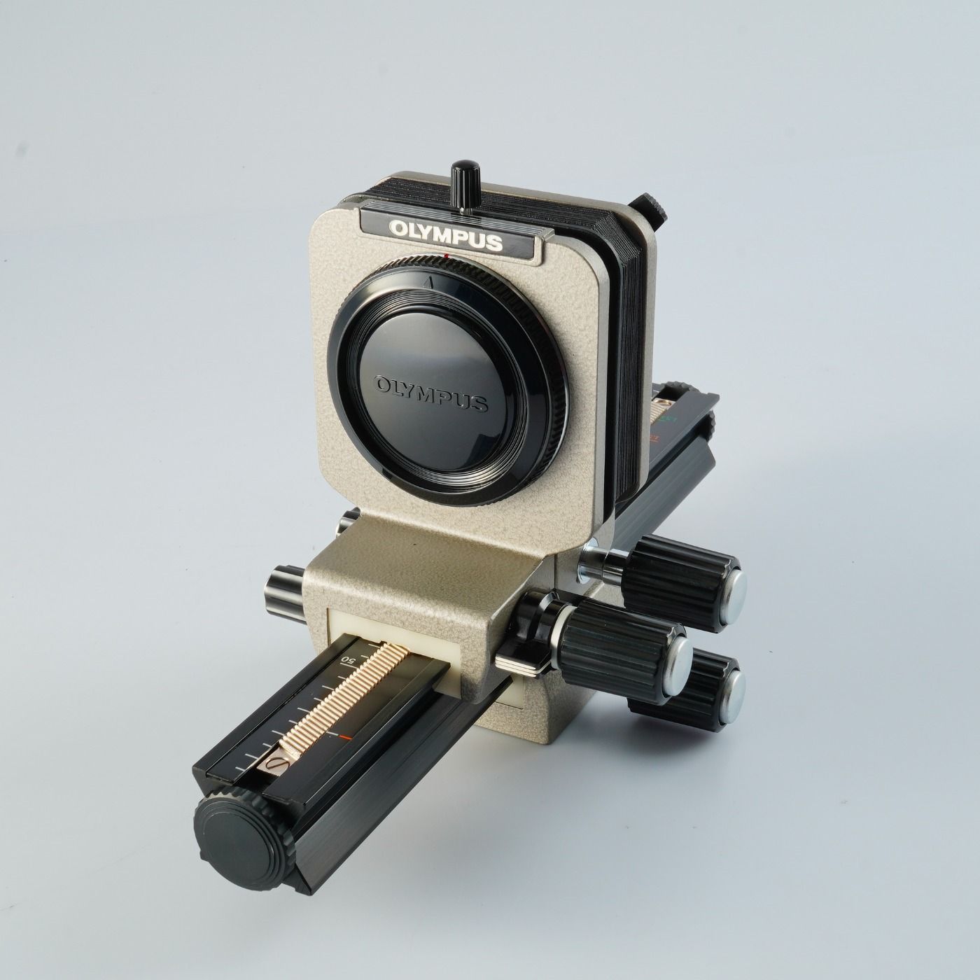 エキノドルスspリオ イプサバ 水上葉 大株 シュートあり エキノドルス