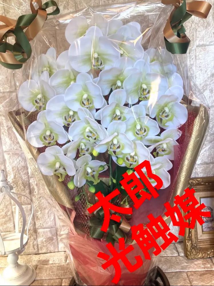 光触媒 人工観葉植物 ウォールグリーン フェイク フラワー コンシンネ