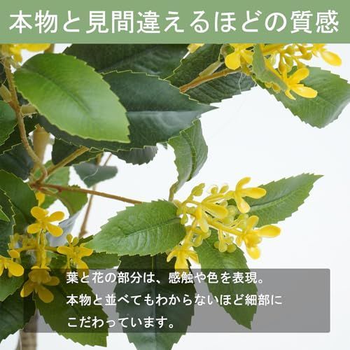 モクセイ インテリア