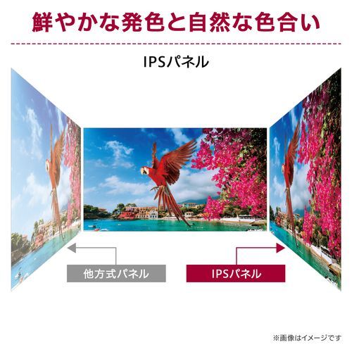 LGエレクトロニクス 24U631A-B LG Monitor 23.8型 WQHDモニター