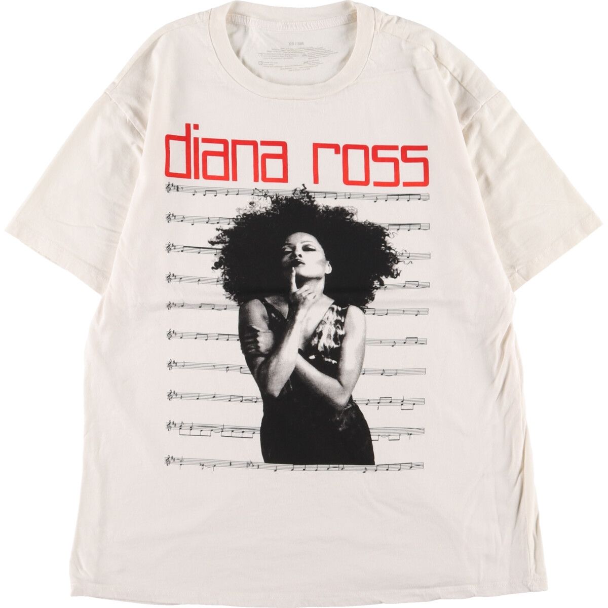 古着 DIANA ROSS ダイアナロス バンドTシャツ バンT メンズS/eaa345851 