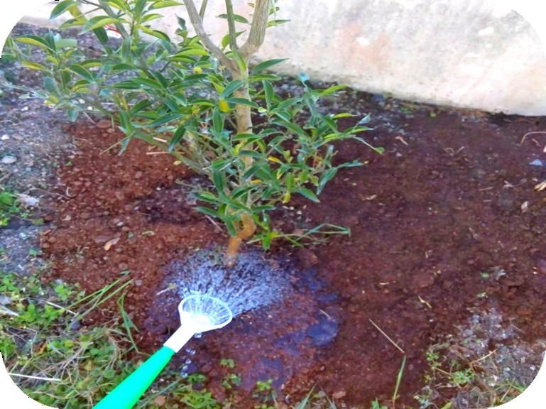 自然由来の有機酸発酵液で出来た土壌改良材