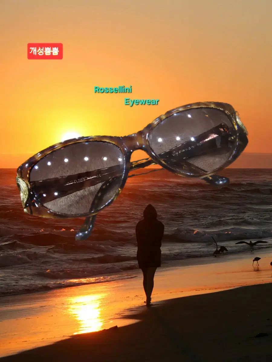 ヴィンテージ指標| Rossellini eyewear