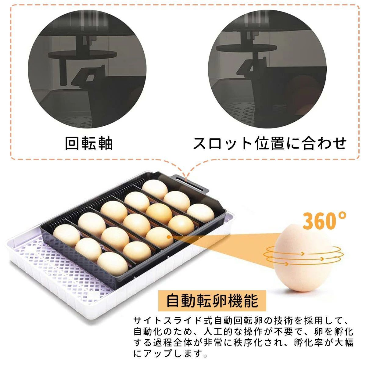 99さん専用　孵卵器 楽天市場】[育雛用品 フランキ部品] ハイパワーLED検卵器 (1本