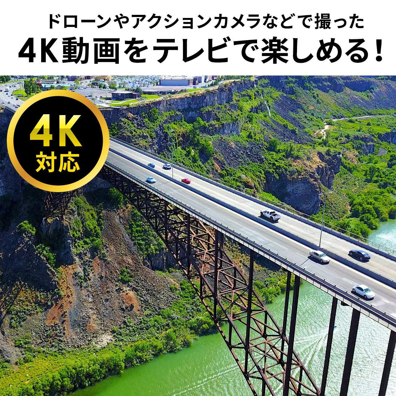 USBメモリ|SDカード対応 HDMI|RCA出力