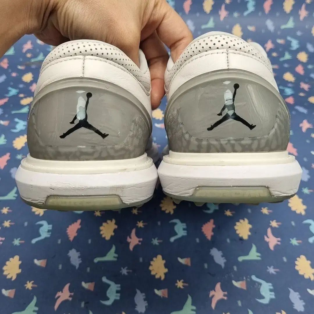 NIKE(ナイキ) ジョーダン adg4 メンズ ゴルフシューズ 275
