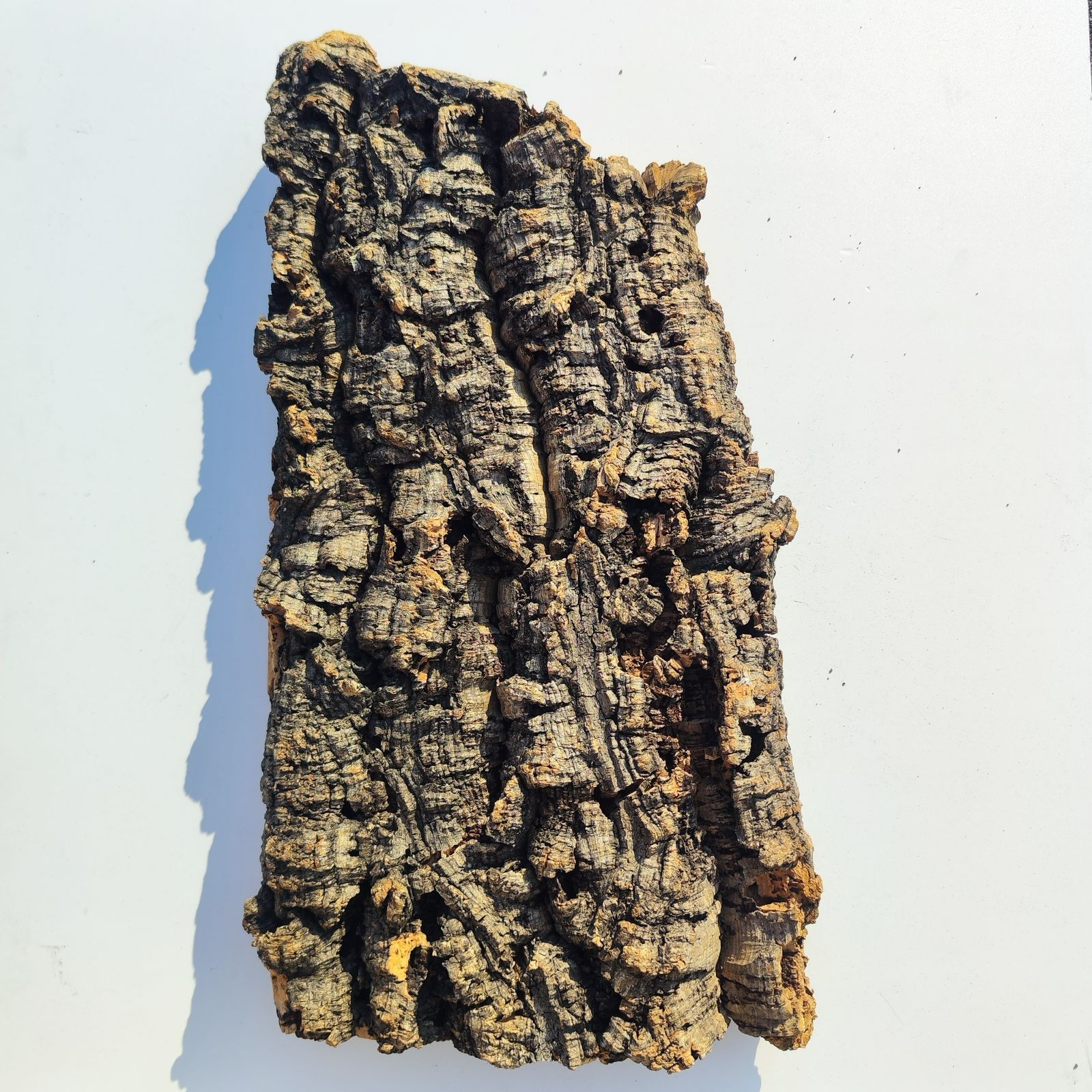 ポルトガル産コルク樹皮ＰＬ-102-10ＬＬ ポルトガル産コルク樹皮PL-102-10LL ポルトガル産コルク樹皮PL-102