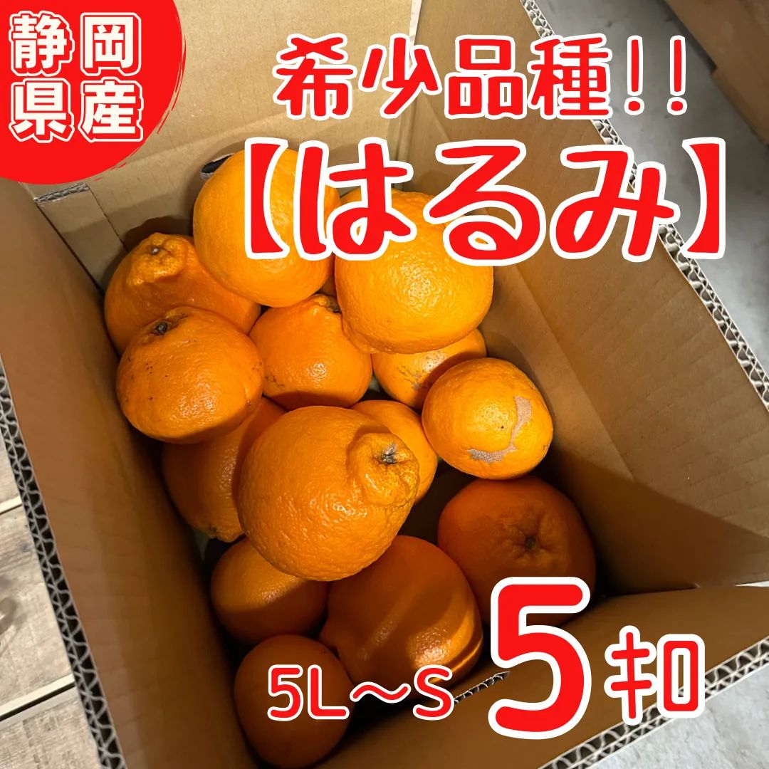 はるみ5kg 家庭用(送料無料)｜繊細な薄皮から濃厚な甘い香りが