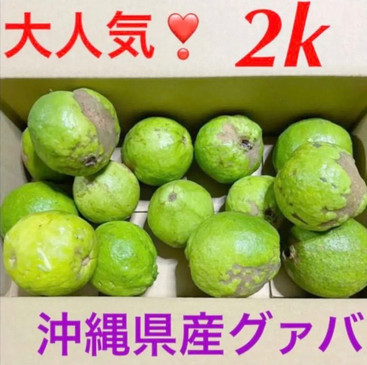 2箱限定！大人気　沖縄産マンゴー、島バナナ、グァバ白