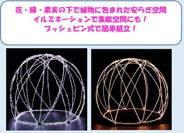 リニューアル品