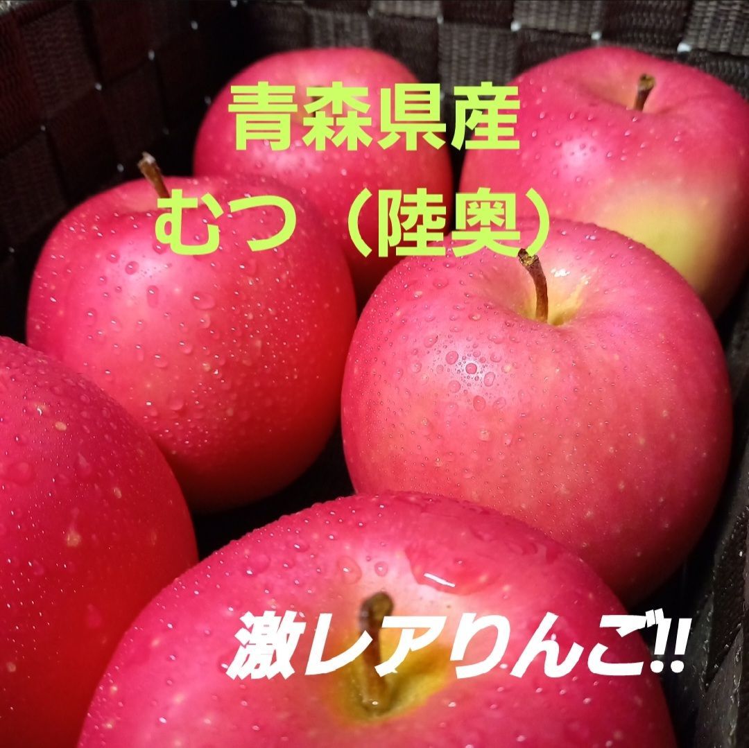一部予約販売中】 期間限定 青森県産 ぐんま名月 希少 りんご 特大玉入