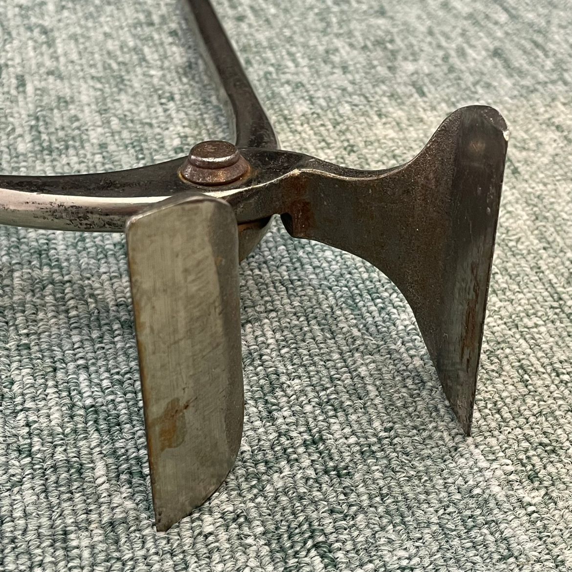 盛光
