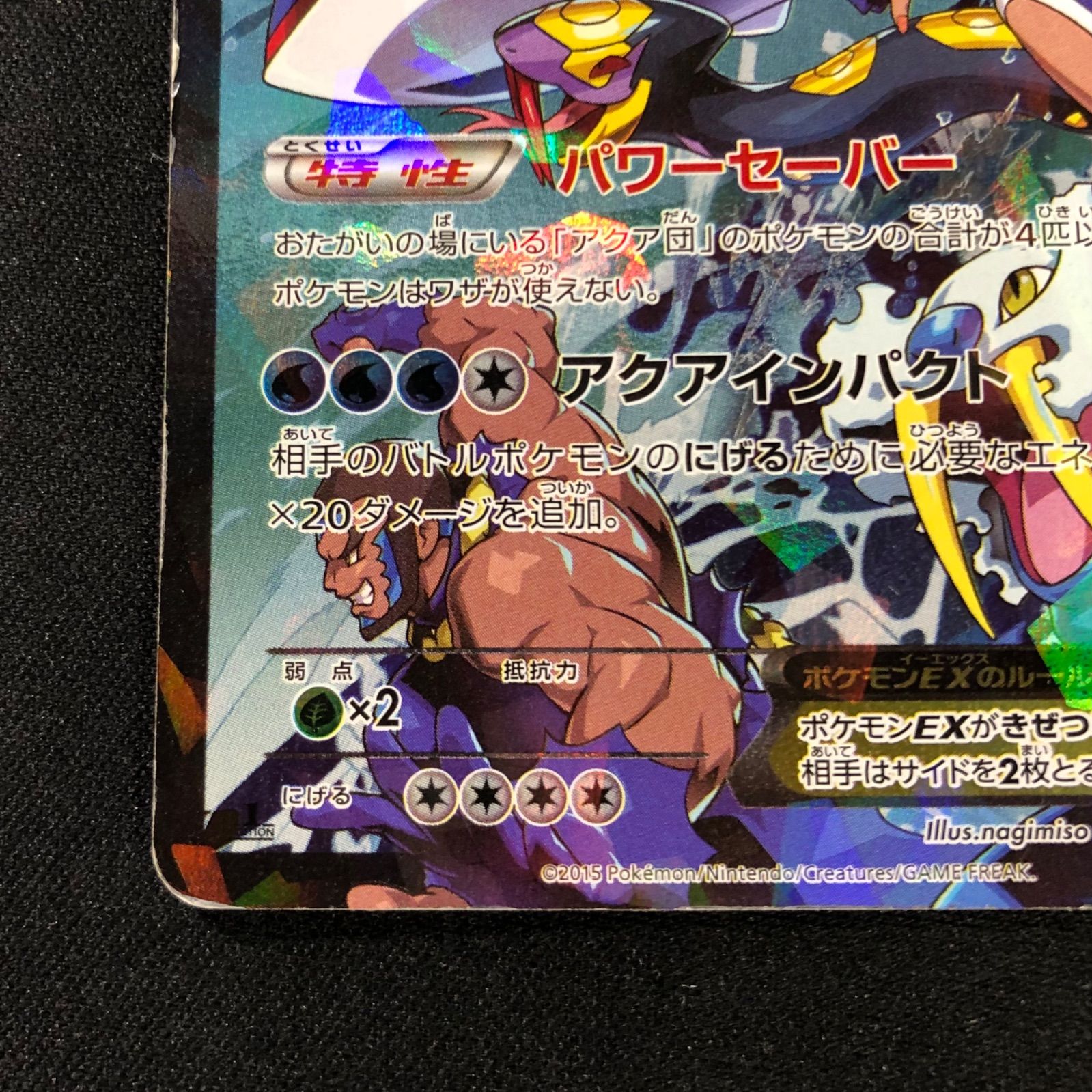 マグマ団のグラードンEX アクア団のカイオーガEX | MOCOLL.STORE
