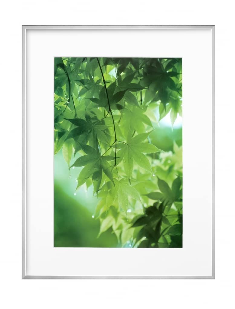 美品 能面 中将 (ちゅうじょう)手彫り 木彫り 桐箱