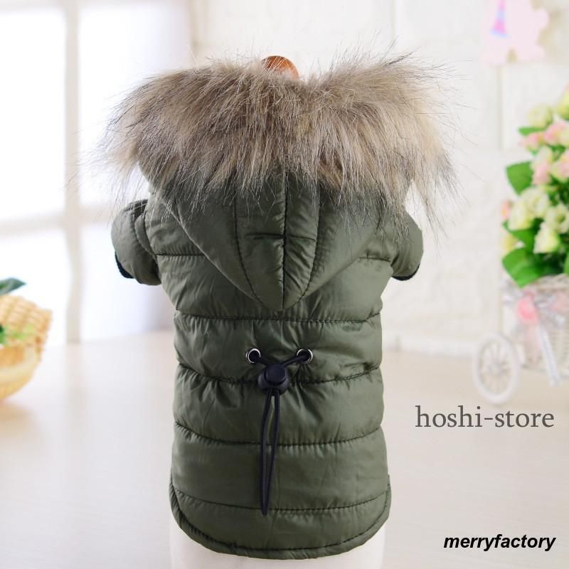 猫ちゃん もふもふ