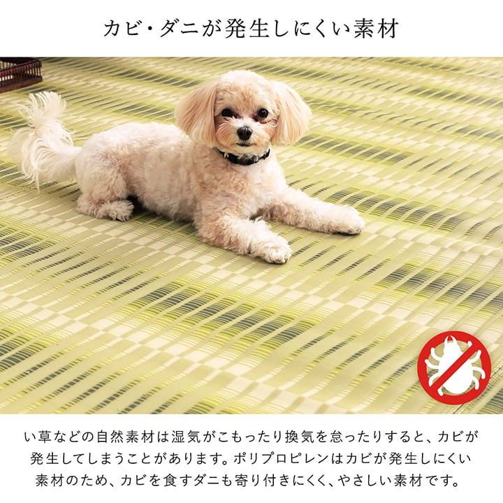 ポリプロピレンカーペット カーペット 日和 261×261cm 江戸間4.5畳