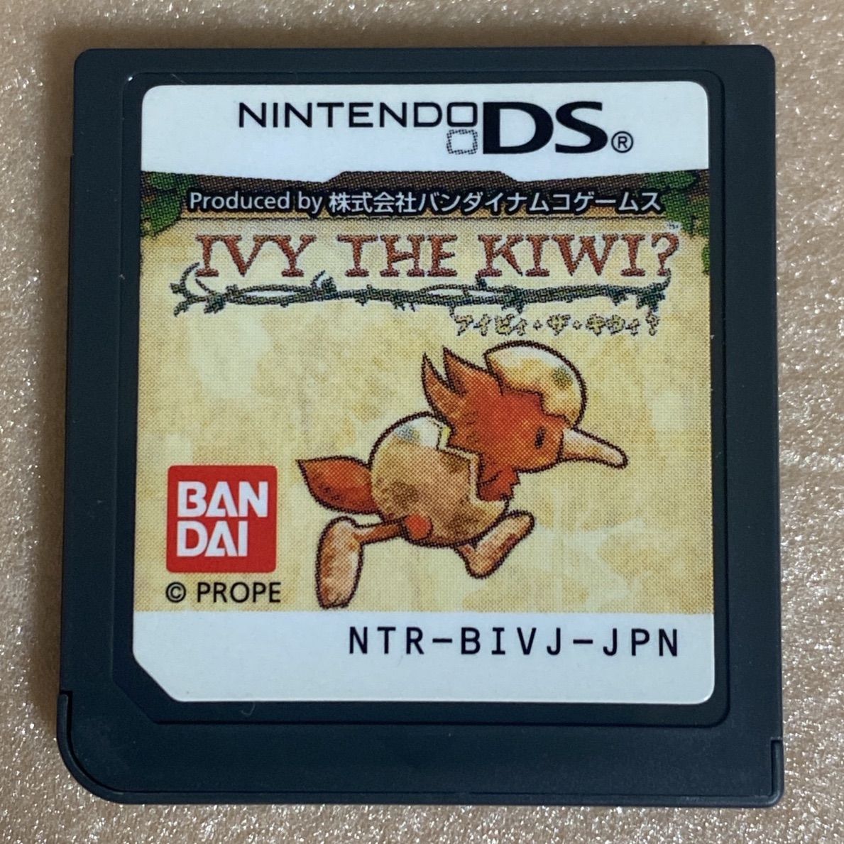 超美品】 DS アイビィ・ザ・キウィ？ IVY THE KIWI？ - あなたのゲーム