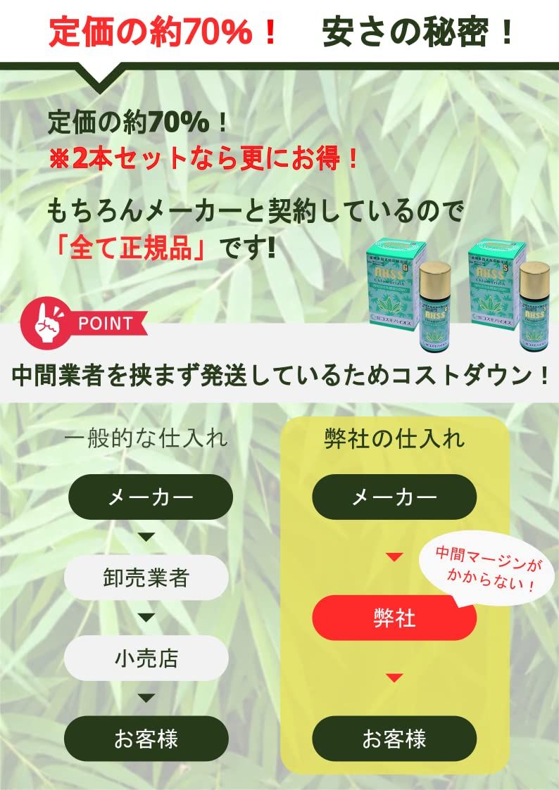 クマ笹 クマササ