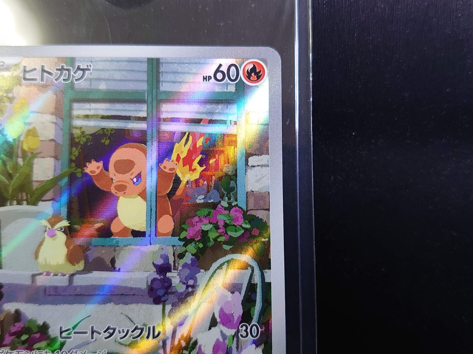 ヒトカゲ SVG 051/049 [スペシャルデッキセットex フシギバナ