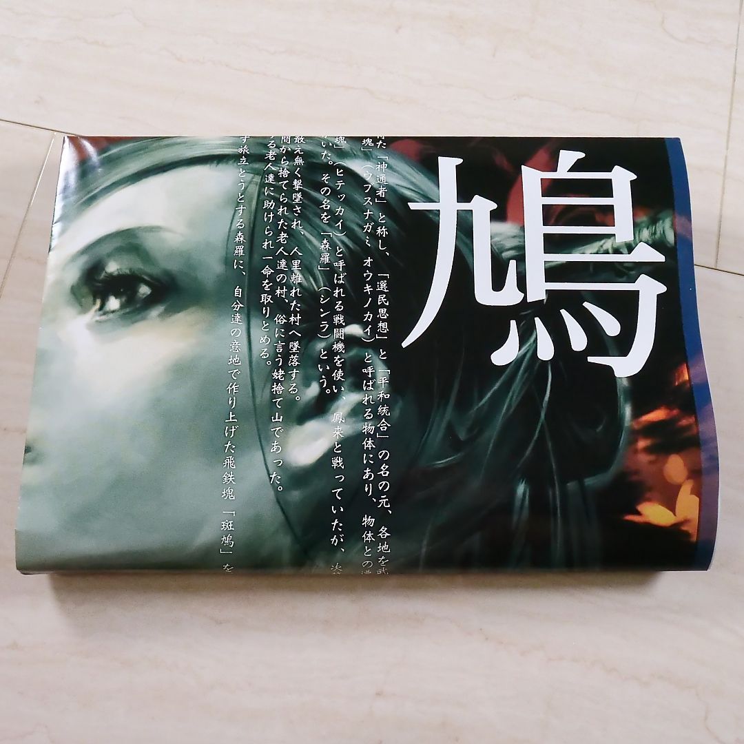 月間アルカディア付録 斑鳩 IKARUGA B2サイズポスター（515mm x 728mm