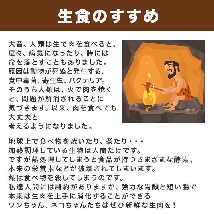 赤身15kg 馬肉切り落とし
