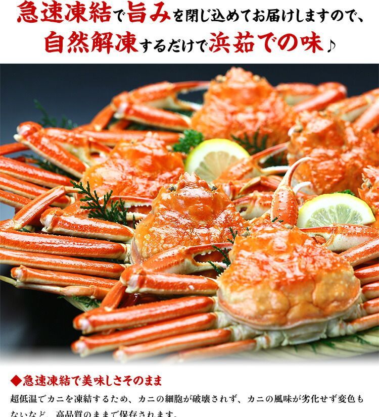 精力的な な業務用 産地箱 大型 ずわいがに姿 浜ゆで急速冷凍 3kg 5尾入り 食べ方の説明書は同封できません 冬ギフト カニ かに 蟹 甲羅組 【返品時も送料当店負担】